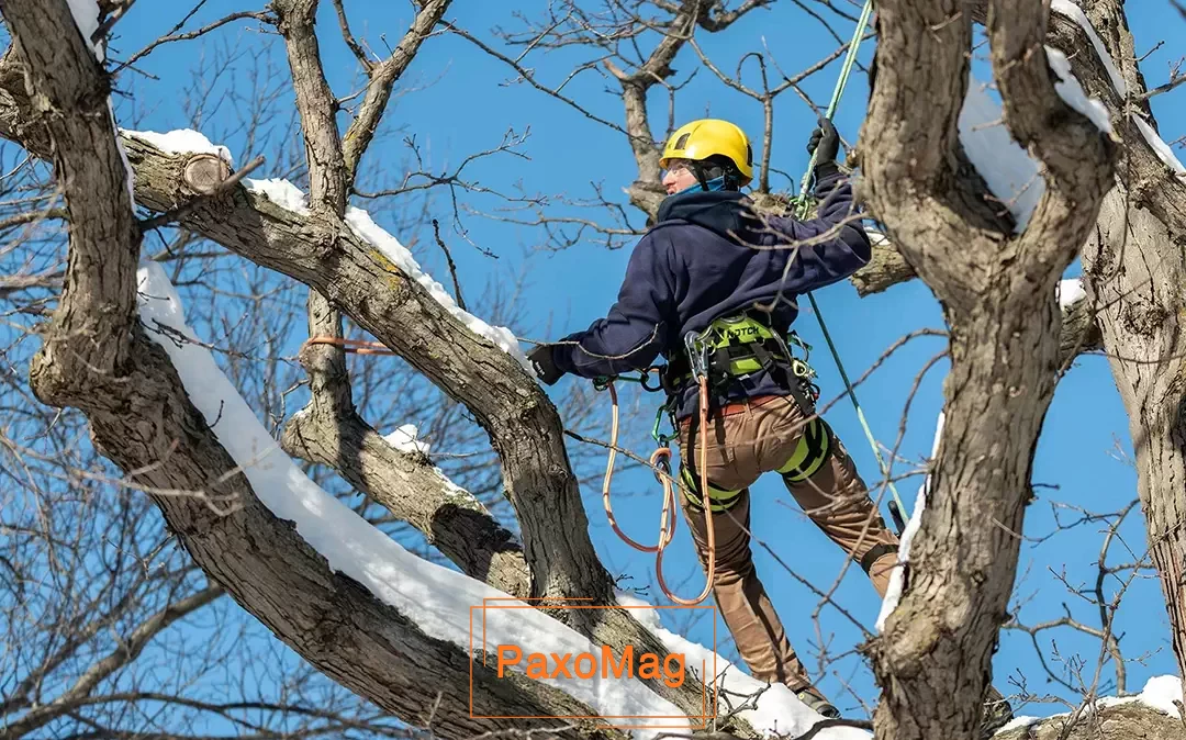 جمع کردن برگ ها در زمستان