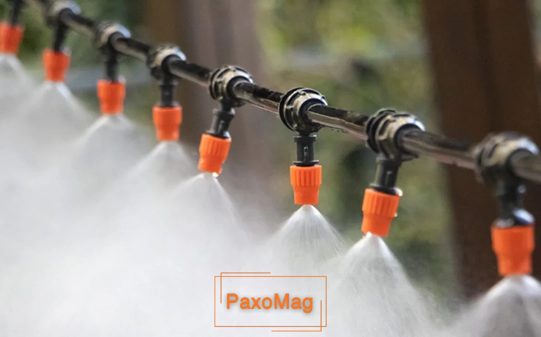 نازل مه پاش