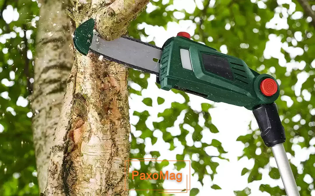 کاربری از اره سر شاخه زن