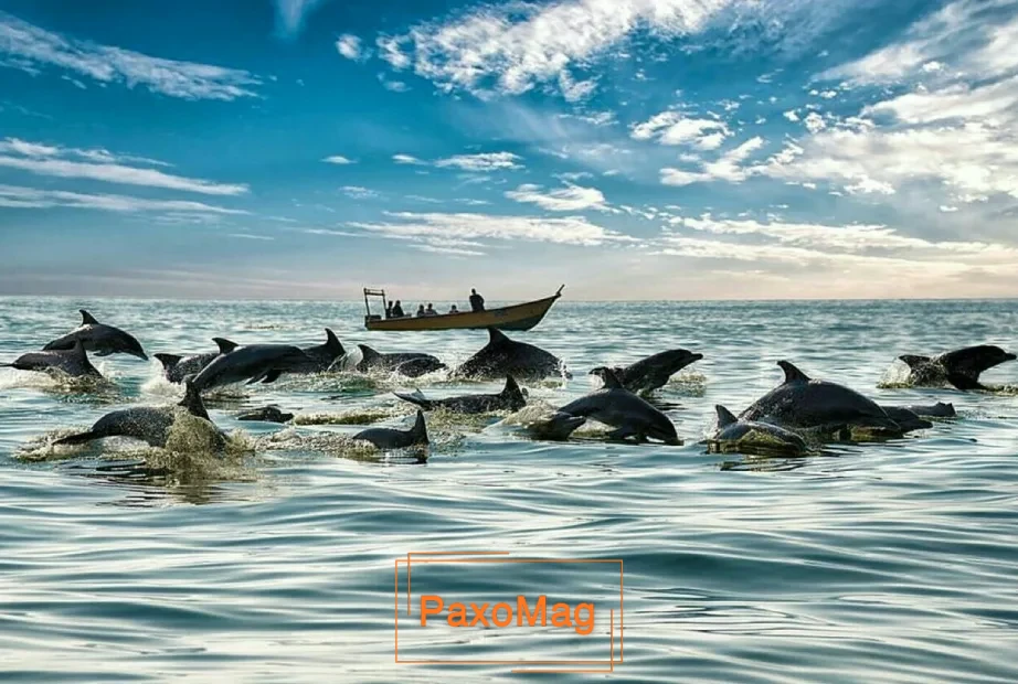 جزیره هنگام قشم