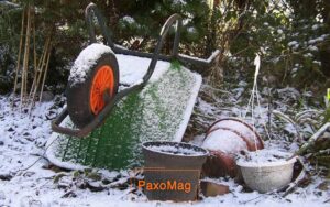 اصولیترین روش باغداری در زمستان