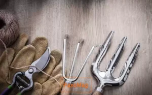 جاروی باغبانی یا شن کش