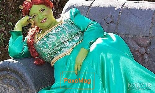 ماگ دیزنی پرنسس فیونا، همسر شرک