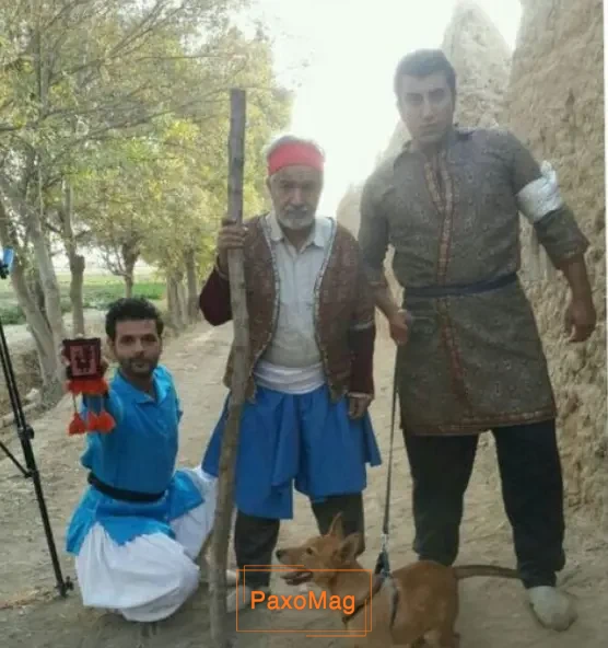 میتی کومان عکس